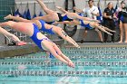 Swim vs Bentley  Wheaton College Swimming & Diving vs Bentley University. - Photo by Keith Nordstrom : Wheaton, Swimming & Diving